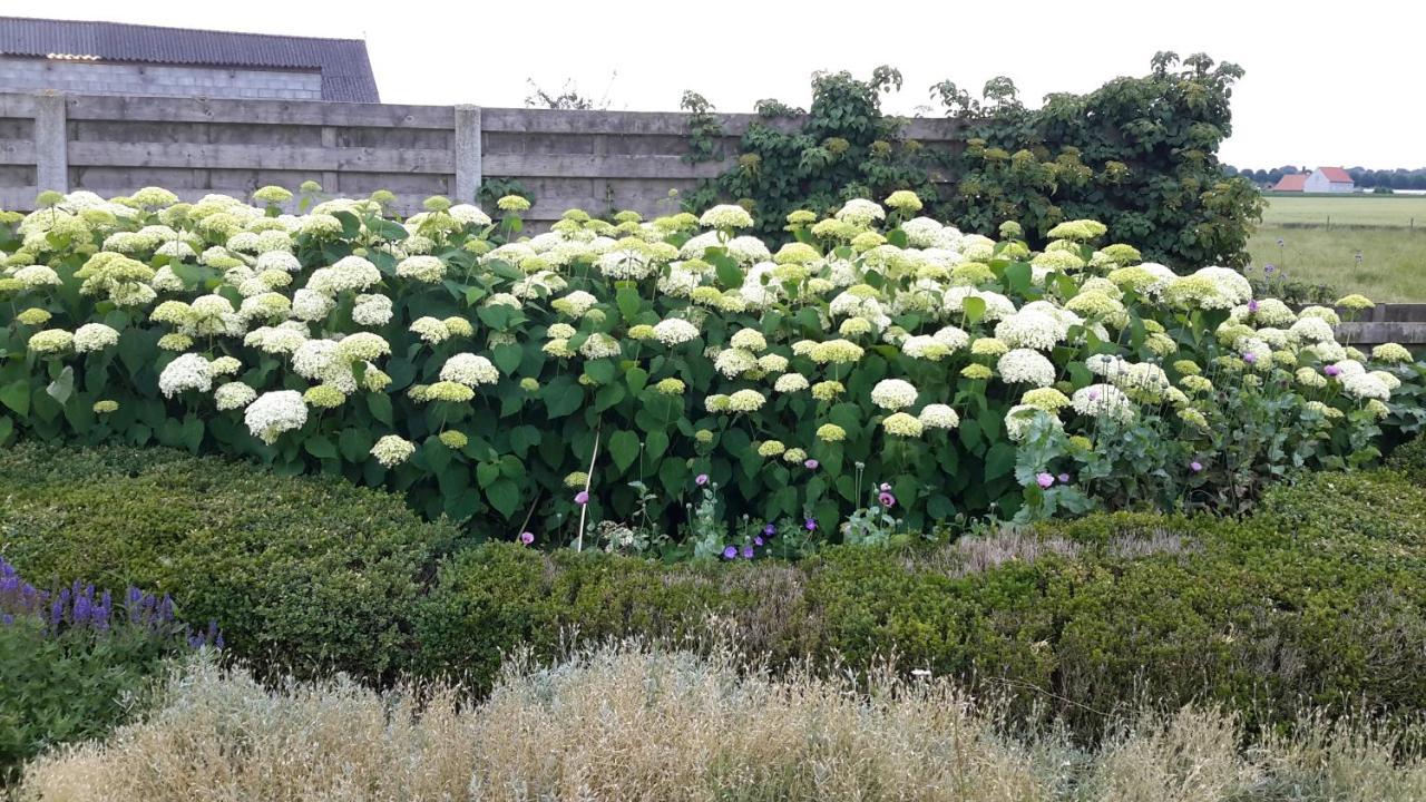 B&B Bergdal Gits 外观 照片